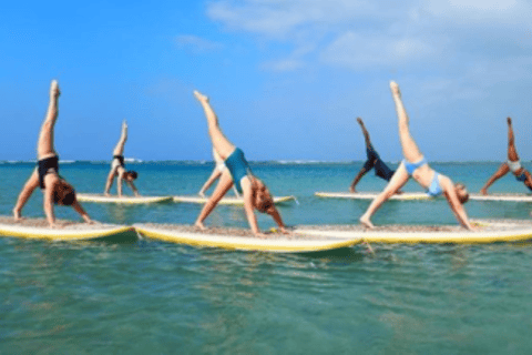 Honolulu: Introduktion till Stand-Up Paddling-klass