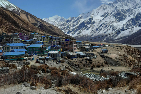 Langtang Valley HeliTour with Landing at Kyanjin Gompa