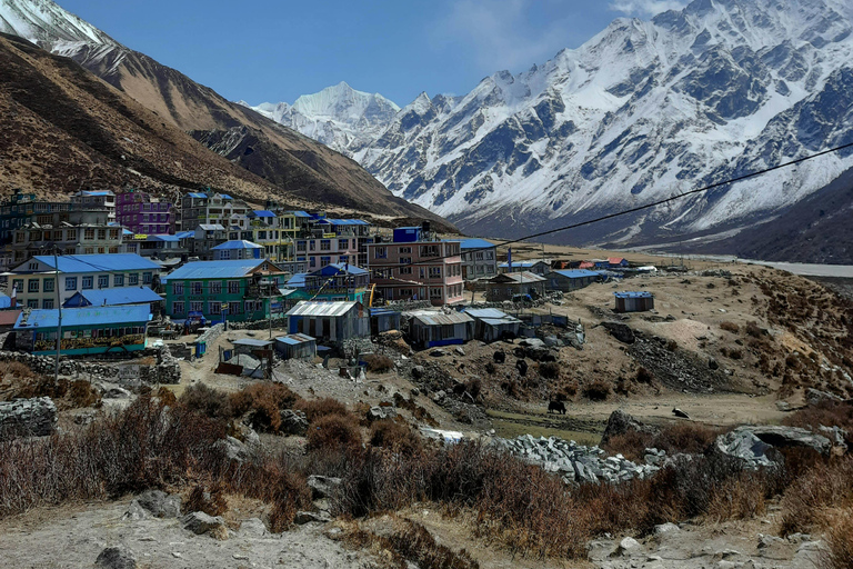 Langtang Valley HeliTour with Landing at Kyanjin Gompa