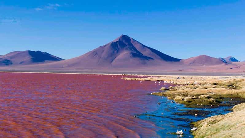 Galería de fotos para redes