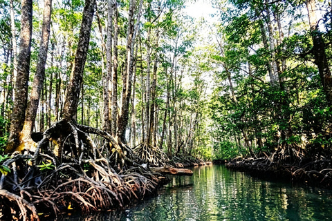 Puerto Princesa: Underground River Tour Lunch Drop & Pick up