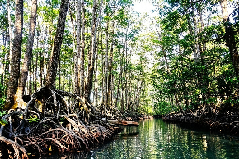 Puerto Princesa: Underground River Tour Lunch Drop & Pick up