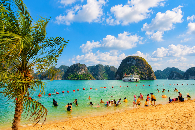 Hanoi: Ha Long Bay Scenic Day Cruise, Cave, Kayak & Titop Hanoi Pickup - Standard Cruise - Set Menu Lunch