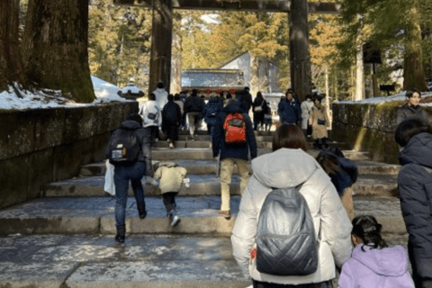 From Tokyo: Nikko Private Tour In Luxury Prado Lowest Price