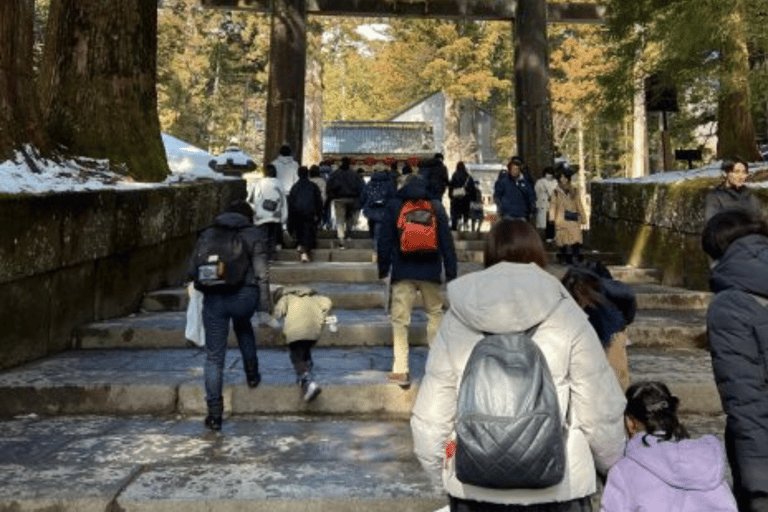 Von Tokio aus: Nikko Private Tour im luxuriösen Prado Niedrigster Preis