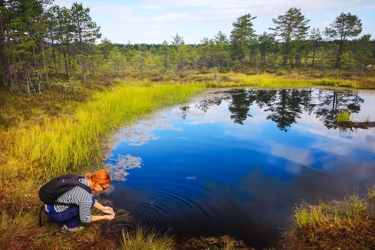 From Tallinn: Bog walk and Sauna Tour