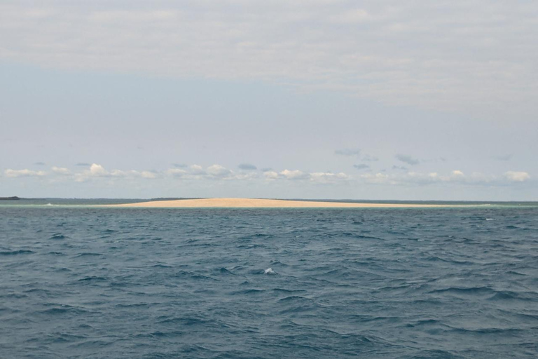 Zanzibar;Blue Safari Snorkeling & Blue Lagoon with BBQ lunch Pickup anywhere (All inclusive)