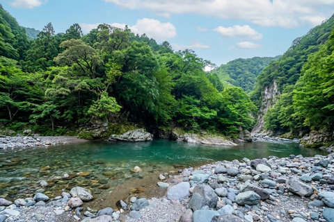 From Batumi: Mtirala National Park Private Tour with BBQ