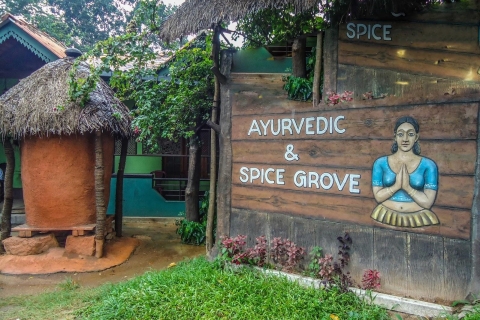 From Kandy: Sigiriya/Dambulla and Minneriya Park Safari