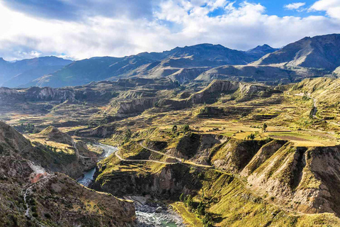 Tour del Canyon del Colca di un giorno ad Arequipa con prima colazione