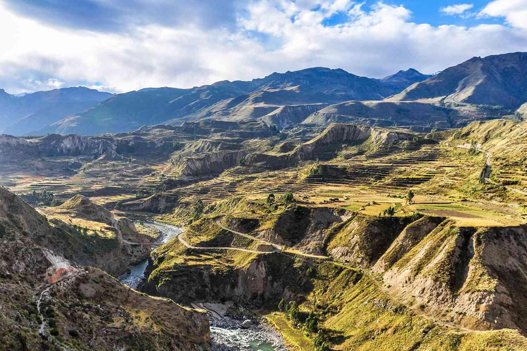 Jednodniowa wycieczka do Kanionu Colca w Arequipie ze śniadaniem