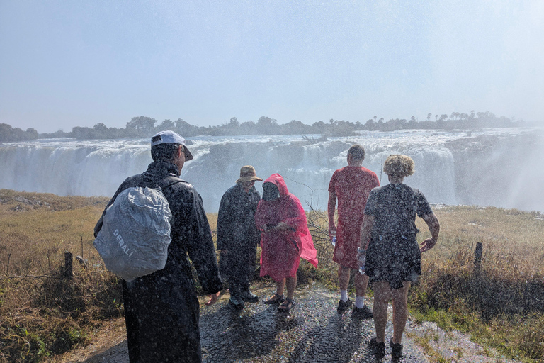 Victoria Falls: Historic Town Tour, Big Tree & Guided Walk