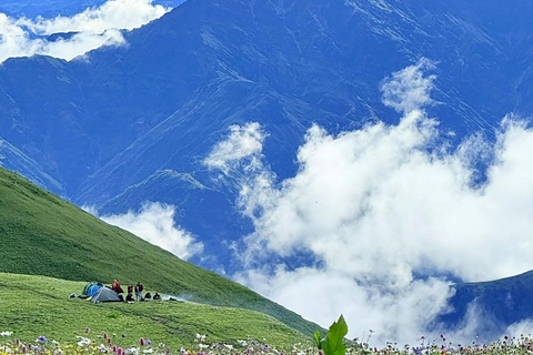 From Pokhara: 4-Day Dhorpatan & Bukipatan Trekking Tour