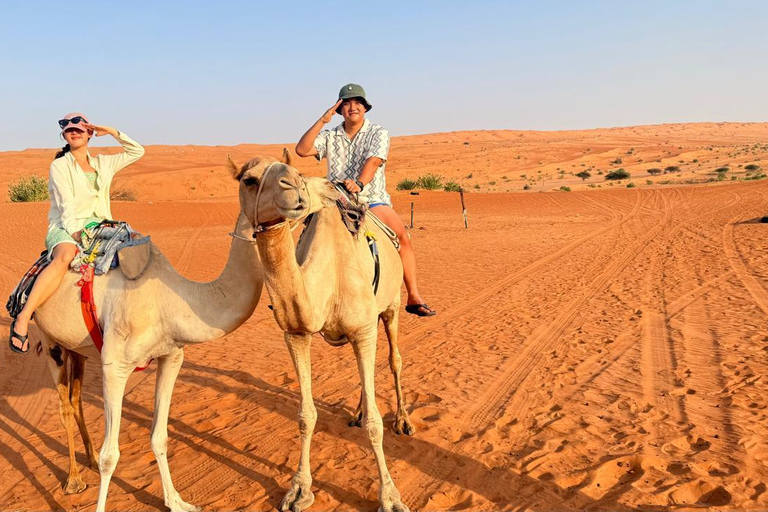 Salalah Desert Adventure, Camel Ride, Sand Boarding, Sunset