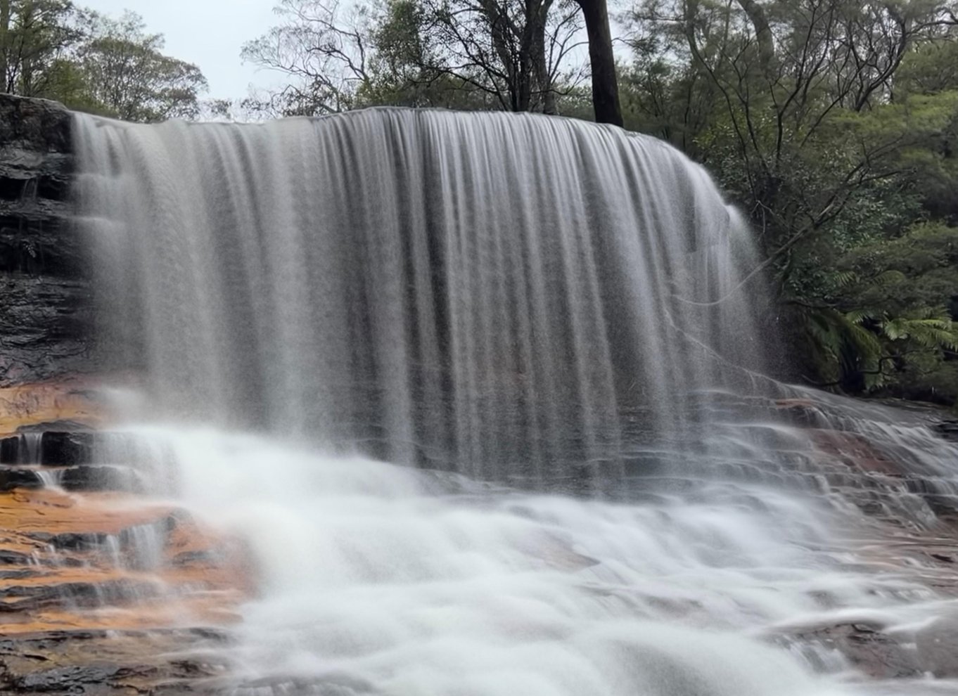 Sydney: Blue Mountains National Park Tour med flodkrydstogt