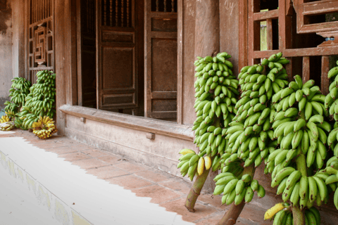 Von Hanoi aus: Duong Lam Ancient Village Tour