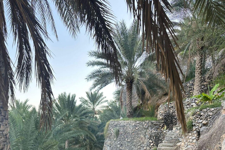 Muscat: Nizwa Fort and Old Al Hamra Village Full-Day Tour