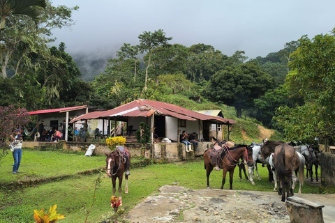 Santa Marta: Horseback riding tour to the Ancestral Stone (6 hours)