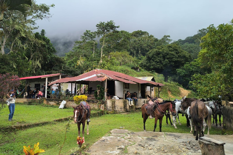 Santa Marta: Horseback riding tour to the Ancestral Stone (6 hours)