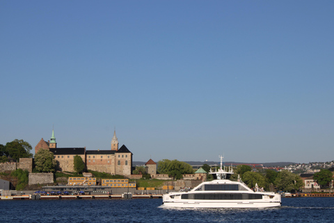 Oslo: Oslofjord Electric Boat Cookie Cruise