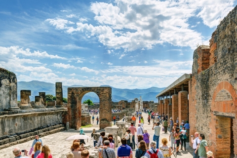 Desde Roma: tour privado de un día completo a Pompeya y Nápoles