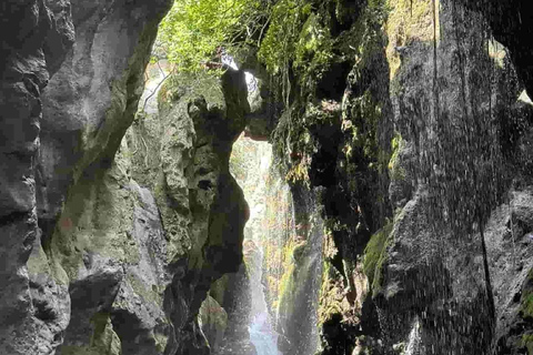 Rethymno Private Tour to Kourtaliotiko Gorge &amp; Kalypso Beach