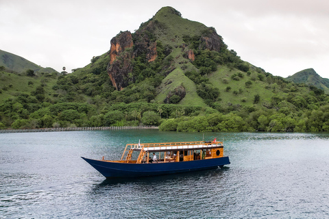 Labuan Bajo: Komodo National Park Open Deck Boat Tour