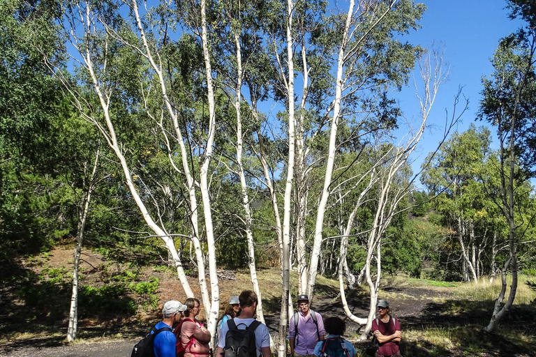 Escursione di un giorno sull'Etna e alle Gole dell'Alcantara