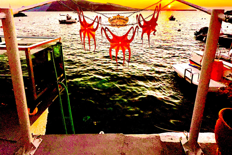 Santorin : visite des temps forts avec Oia et Pyrgos MegaloxoriSantorin : visite des temps forts avec Oia, Pyrgos et Megalochori