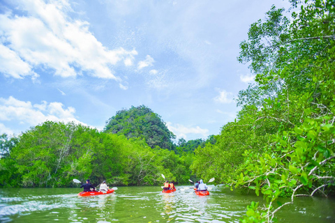 Krabi: Tour di mezza giornata in kayak con le mangrovie Bor Thor