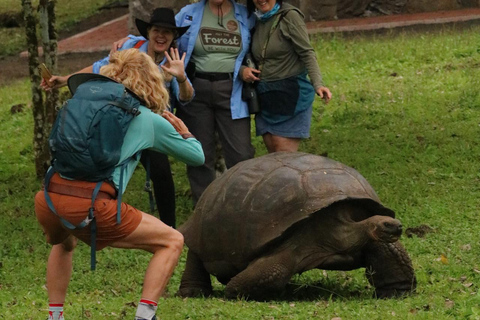 Santa Cruz: Epic Adventure with Lava Tubes and Giant Turtles Santa Cruz: Epic lava tunnel adventure and giant turtles