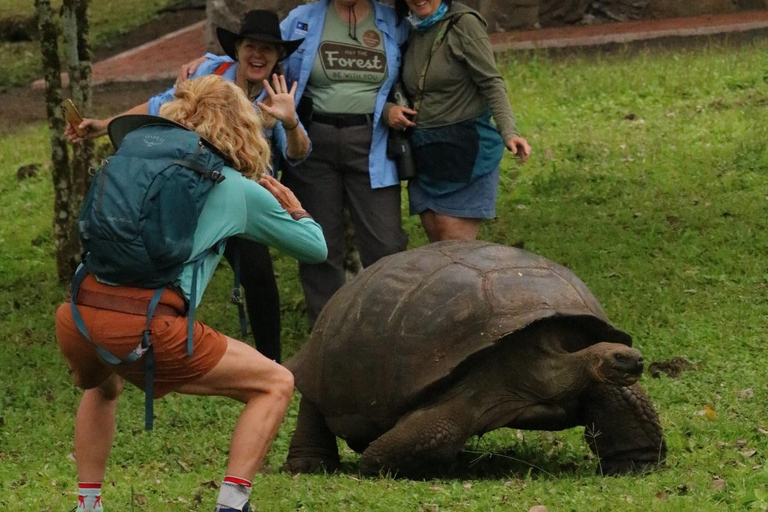 Santa Cruz: Epic Adventure with Lava Tubes and Giant Turtles Santa Cruz: Epic lava tunnel adventure and giant turtles