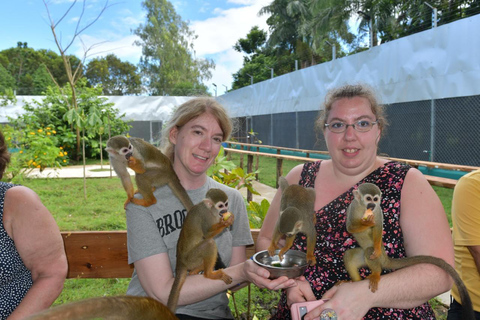 Puerto Plata: Damajagua Waterfalls & Monkeyland Tour