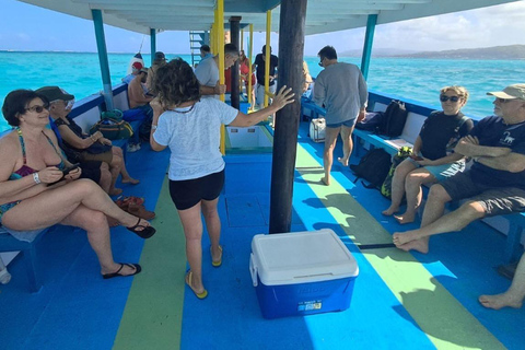 Tobago: tour in barca con fondo trasparente al Buccoo Reef Marine ParkTobago: tour in barca con fondo trasparente + Rumpunch