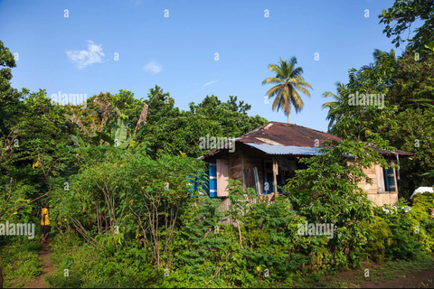 Sierra Leone: Guided Tour with National Museum Entry