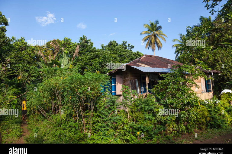 Sierra Leone: Guided Tour with National Museum Entry