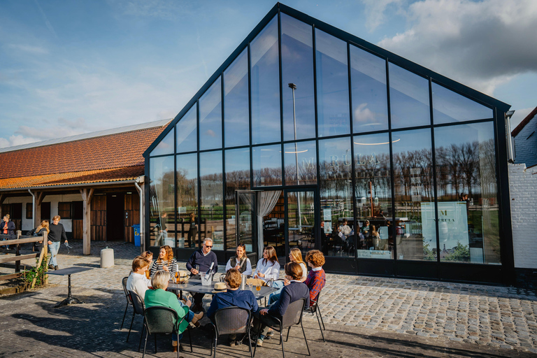 Boat trip & wine tour in Bruges