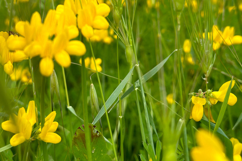 2-Day Gjirokastra & Durres: Horse Riding & Culture Tour Trip