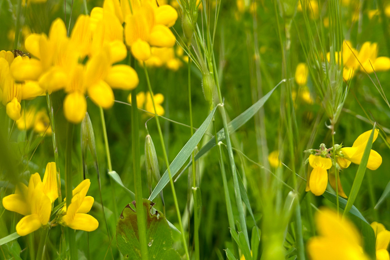 2-Day Gjirokastra & Durres: Horse Riding & Culture Tour Trip