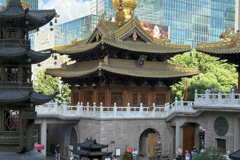 Shanghai: Jing'an Temple & Tech Robotics half-day Tour Shanghai: Jing'an Temple & Robotics Guided Tour