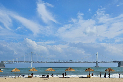 Busan: Private Tour, 3 Included Experiences & 3 Iconic Spots Private Tour | 1–3 Guests