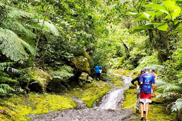 Lautoka: Abaca Waterfall Hike and Swim Day Trip