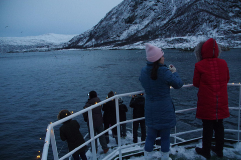 Safari marítimo em Tromsø