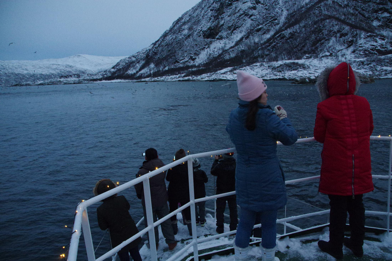 Safari marítimo em Tromsø