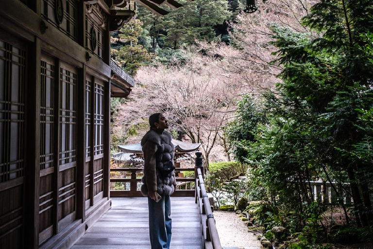 Miyajima：Sperimenta la cultura spirituale giapponese a Daisho-in