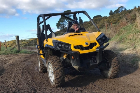 Rotorua: 4×4 Selbstfahrer-Buggy-Tour durch Farm und Buschland