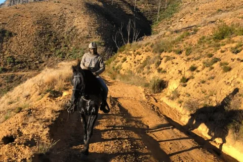 Vrede en Lust Wine Estate: 1h30m Horse Trail Ride