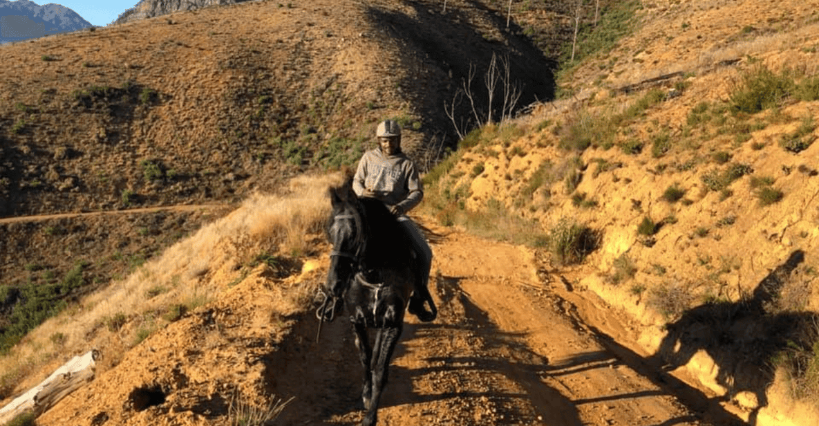 Vrede en Lust Wine Estate: 1h30m Horse Trail Ride | GetYourGuide