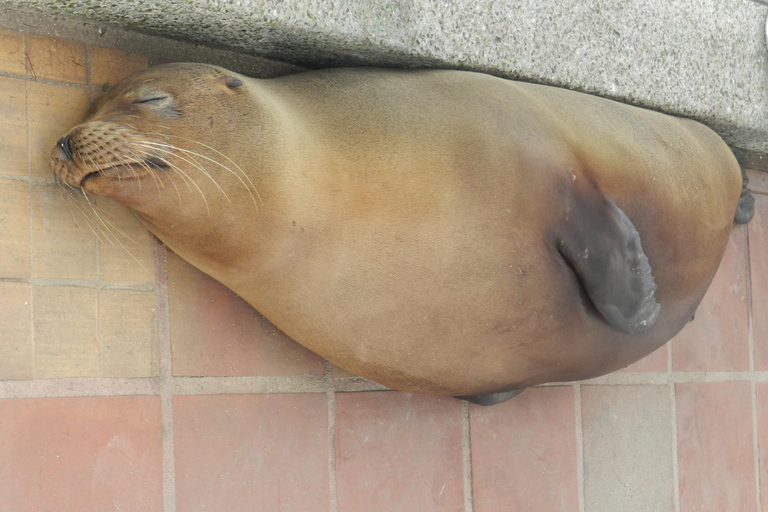 4-Day Galapagos Islands: Guided Tour Santa Cruz Island ENGLISH SPEAKING TOUR GUIDE