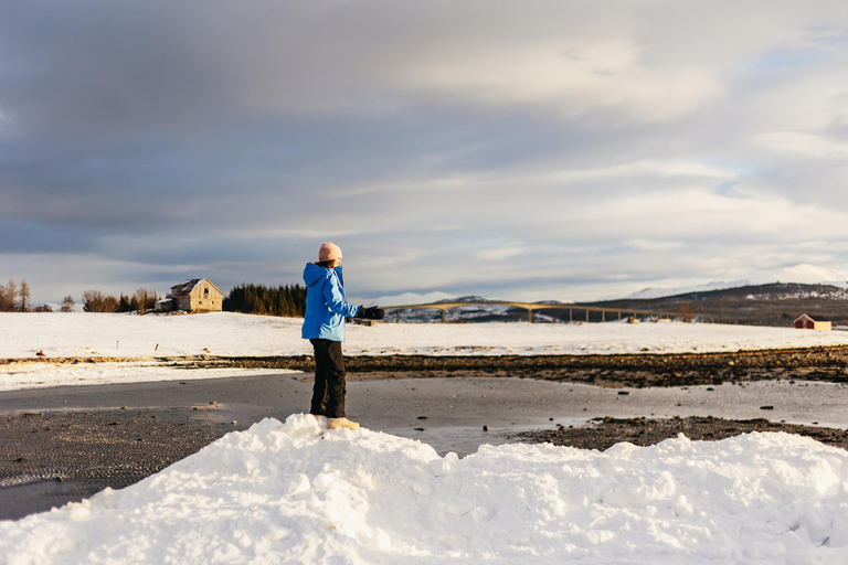 Tromsø: Arctic Landscape and Fjord Tour with Snacks